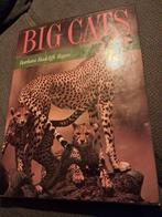 Big Cats - Barbara Radcliff Rogers 16, Ophalen of Verzenden, Zo goed als nieuw, Natuur algemeen, Barbara Radcliff Rogers