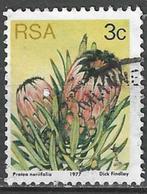 Zuid-Afrika 1977 - Yvert 418 - De blauwe suikerbos (ST), Verzenden, Zuid-Afrika, Gestempeld