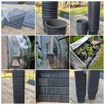 Kweken Kweekbakjes Kweekpotjes Kweekkas kas, Ophalen