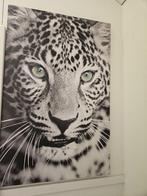 Tijger schilderij / lijst, Ophalen, Zo goed als nieuw, Schilderij, 75 tot 100 cm