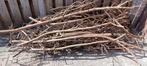 Hout   Gratis, Minder dan 3 m³, Ophalen, Overige houtsoorten, Blokken