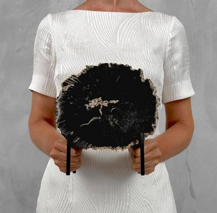 Versteend hout schijf 23x21,3x2 cm / 2800 gram, Verzamelen, Mineralen en Fossielen, Fossiel, Ophalen of Verzenden