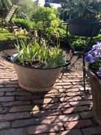 Ronde oude zinken teil, Tuin en Terras, Bloembakken en Plantenbakken, Ophalen, Gebruikt, Minder dan 30 cm, Minder dan 60 cm