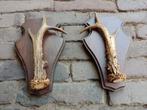 Set stangen gewei reebok ree 6 ender op houten schildjes, Verzamelen, Ophalen of Verzenden, Gebruikt, Hert, Gewei of Kop