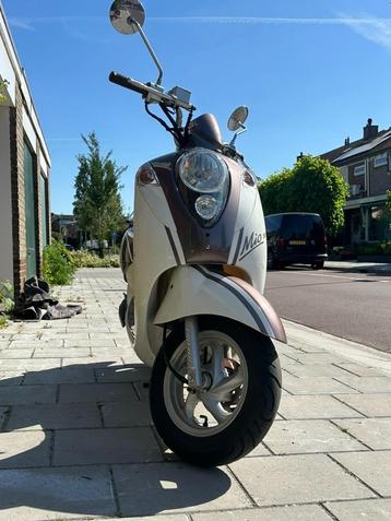 Sym Mio 50 beschikbaar voor biedingen