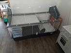 Konijnenkooi Ferplast Barn 120 cm, Dieren en Toebehoren, Ophalen, Kooi, 60 tot 90 cm, Cavia