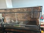 Terrariums merk Allterra, Ophalen of Verzenden, Zo goed als nieuw