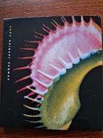 Cd Cowboy Junkies - Open (2001), Ophalen of Verzenden, 2000 tot heden, Zo goed als nieuw