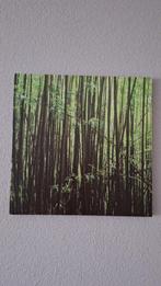 Stilleven Bamboe, Huis en Inrichting, Woonaccessoires | Schilderijen, Tekeningen en Foto's, Ophalen, Minder dan 50 cm, Schilderij
