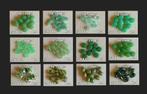 GLASKRALEN VOOR SIERADEN GROEN, Ophalen of Verzenden, Nieuw, Kraal
