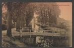 sappemeer  dorpsgezicht tulp kaart, Verzenden, Voor 1920, Ongelopen, Groningen