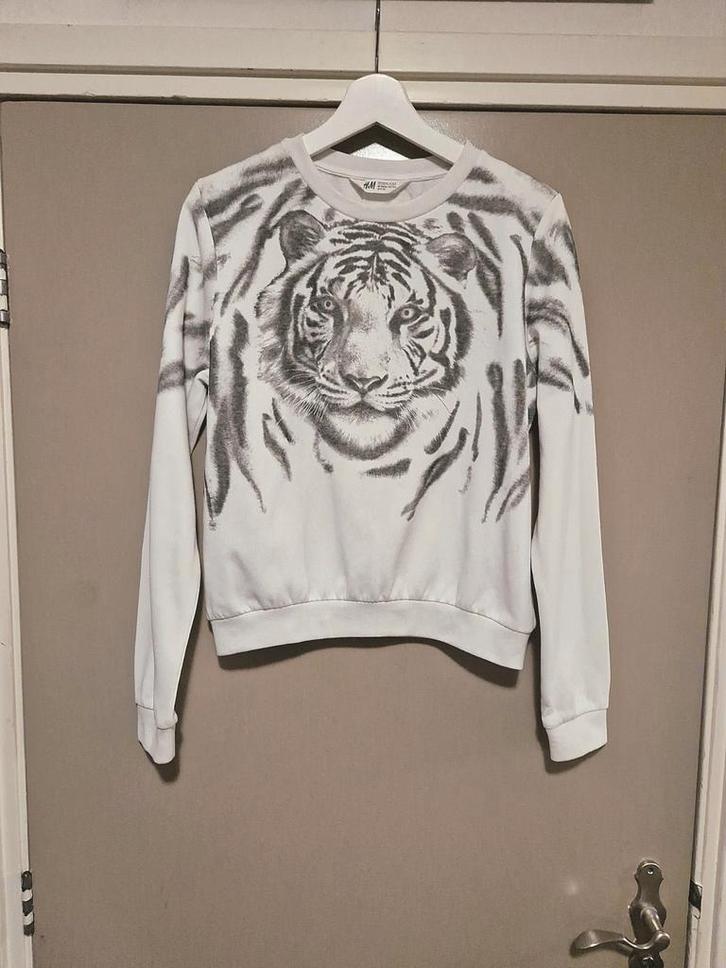 H&M tijger trui maat 158/164, Kinderen en Baby's, Kinderkleding | Maat 158, Zo goed als nieuw, Trui of Vest, Ophalen of Verzenden