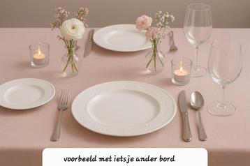 Porselein Servies Villeroy & Boch Vivo, nieuw in verpakking. beschikbaar voor biedingen