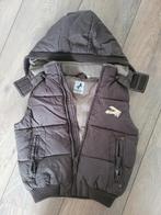 Palomino Bodywarmer Maat 104, Palomino, Jongen of Meisje, Ophalen of Verzenden, Zo goed als nieuw
