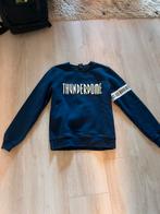 Thunderdome sweater/trui Maat M | Die Hard Resistance, Kleding | Heren, Truien en Vesten, Ophalen of Verzenden, Zo goed als nieuw