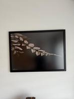 Mooie foto van bladeren in lijst, Huis en Inrichting, Ophalen, Oorspronkelijke maker, Zo goed als nieuw, Foto of Poster