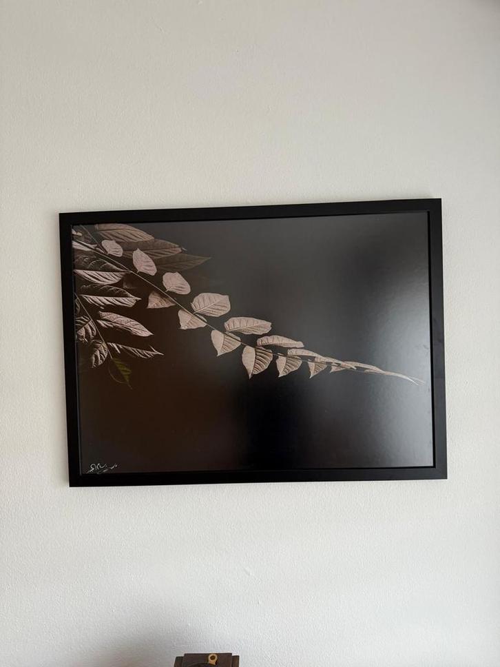 Mooie foto van bladeren in lijst, Huis en Inrichting, Woonaccessoires | Schilderijen, Tekeningen en Foto's, Zo goed als nieuw