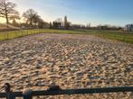 Paardenbak 36x21m met drainage, Ophalen, Gebruikt, Overige soorten