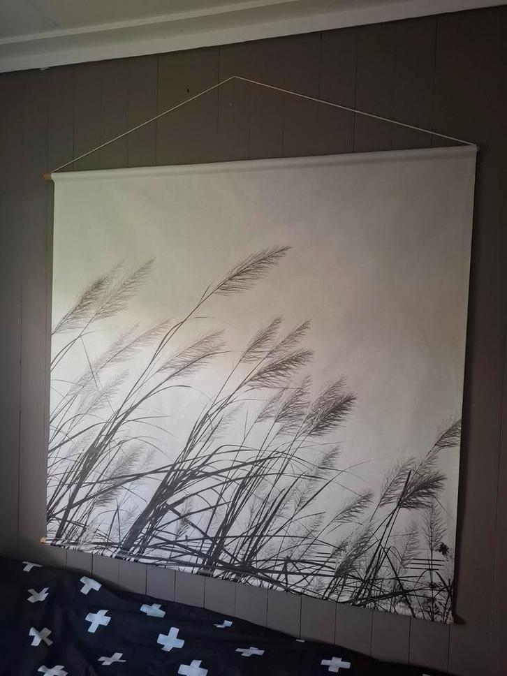 Canvas Wanddoek Rietpluimen - 120x110cm, Huis en Inrichting, Woonaccessoires | Wanddecoraties, Zo goed als nieuw, Ophalen of Verzenden