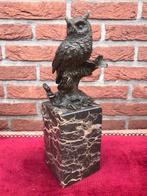 levensecht beeld van een uil, brons en marmer, Ophalen of Verzenden, Brons