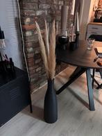 Zwarte vaas met pampas pluimen, Ophalen, Zwart, Minder dan 50 cm, Glas
