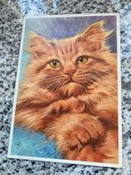 Diversen Poezen ansichtkaarten..., Verzamelen, Ansichtkaarten | Dieren, Ophalen of Verzenden, 1940 tot 1960, Hond of Kat
