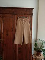 Faux leren broek mt 38/40 elastische tailleband Be Gold 💃, Maat 38/40 (M), Be Gold By Belinda, Beige, Nieuw
