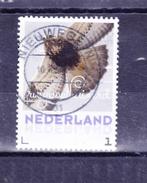 Vogels Ruigpootbuizerd, Postzegels en Munten, Postzegels | Nederland, Verzenden, Na 1940, Gestempeld
