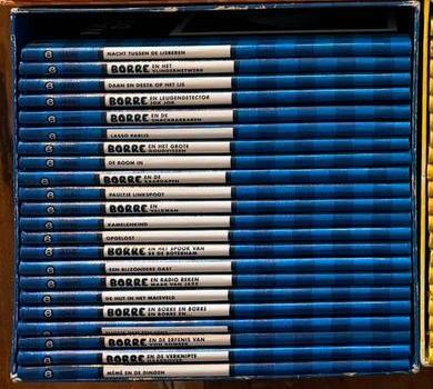 Borre groep 6, Boeken, Kinderboeken | Jeugd | onder 10 jaar, Zo goed als nieuw, Fictie algemeen, Ophalen of Verzenden