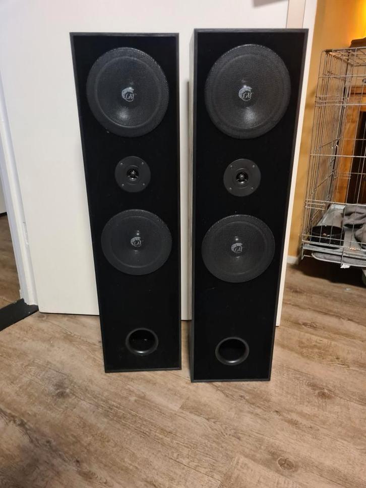 CAT  LEB 401, Audio, Tv en Foto, Luidsprekers, Zo goed als nieuw, Front, Rear of Stereo speakers, Overige merken, Ophalen