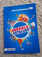 DE WERELD IN GETALLEN ANTWOORDENBOEK groep 3A, 3B, Boeken, Ophalen of Verzenden, Gelezen, Overige niveaus