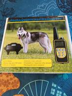 Trainingsband voor de hond, Dieren en Toebehoren, Hondenhalsbanden en Penningen, Ophalen of Verzenden, Nieuw