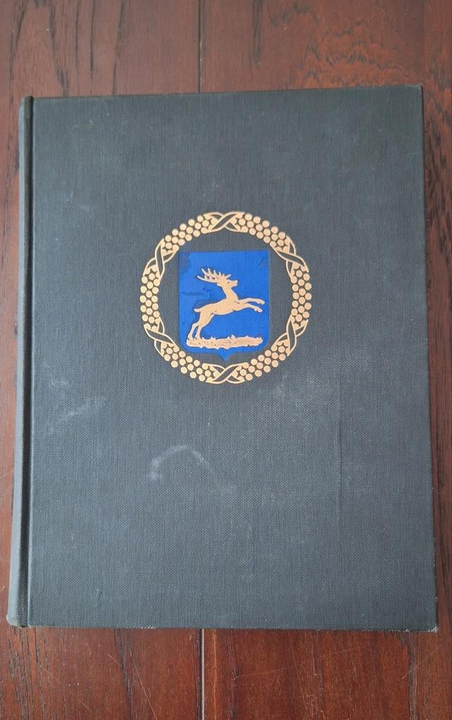 Het drama van Putten, TJ Wouters -Over WOII 1944, Boeken, Geschiedenis | Stad en Regio, T.J. Wouters, Ophalen of Verzenden, 20e eeuw of later