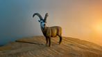Schleich steenbok, Verzamelen, Dierenverzamelingen, Ophalen of Verzenden, Nieuw