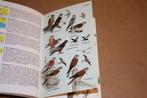 Elseviers gids van de Europese vogels., Ophalen of Verzenden, Gelezen, Vogels