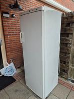 Ruime Siemens vrieskast - 165x60x60 cm, Gebruikt, 160 cm of meer, Energieklasse A of zuiniger, Ophalen