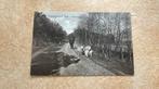 Boer met Schapen boschbeplanting Texel 1930, Ophalen of Verzenden, 1920 tot 1940, Gelopen, Natuur