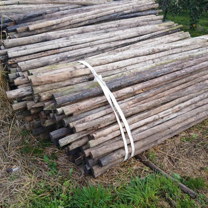 Te koop ongepunte houten palen van 2,50 meter., Tuin en Terras, Palen, Balken en Planken, Gebruikt, Palen, 180 tot 250 cm, Ophalen