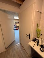 Gratis af te halen: Binnenkastdeur, Ophalen, Gebruikt, Minder dan 80 cm, Binnendeur