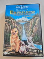 Dvd homeward bound de ongelofelijke reis - Disney, Cd's en Dvd's, Dvd's | Kinderen en Jeugd, Dieren, Alle leeftijden, Ophalen of Verzenden