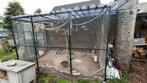 Aluminium voliere met vogels, Ophalen, Aluminium, Volière