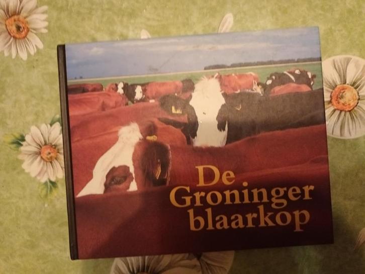 Groninger blaarkop. Koeien landbouw vee zeldzame rassen, Boeken, Dieren en Huisdieren, Zo goed als nieuw, Vee, Ophalen of Verzenden
