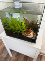 Superfish Aquarium, Dieren en Toebehoren, Vissen | Aquaria en Toebehoren, Ophalen of Verzenden