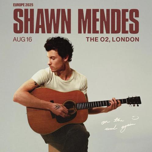 Shawn Mendes London O2 - 4 tickets, Tickets en Kaartjes, Concerten | Pop, Drie personen of meer