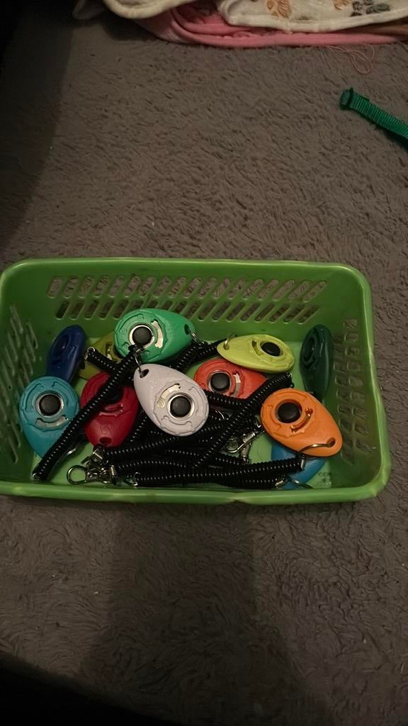 Clicker voor traing van hond kat konijn, Ophalen of Verzenden