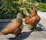 Haan en Hen / brons / tuinbeelden / kippen