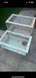 2 kooien samen 35, Minder dan 60 cm, Kooi, Minder dan 75 cm, Ophalen of Verzenden