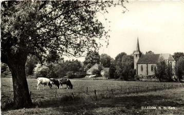 Ellecom, N.H. Kerk - koeien - 196? gelopen beschikbaar voor biedingen