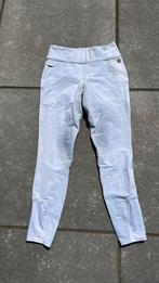 Witte rijlegging Kingsland maat 36, Dieren en Toebehoren, Paardrijkleding, Ophalen of Verzenden, Zo goed als nieuw, Dressuur, Onderkleding