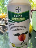 Fungicide, Tuin en Terras, Planten | Tuinplanten, Ophalen of Verzenden, Zomer, Eenjarig, Volle zon